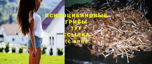 гашик Абинск