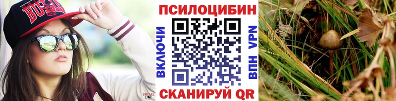 Галлюциногенные грибы MAGIC MUSHROOMS  ОМГ ОМГ tor  Усть-Катав 